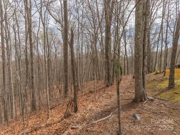 00 Michele Lane #4, Leicester, NC 28748