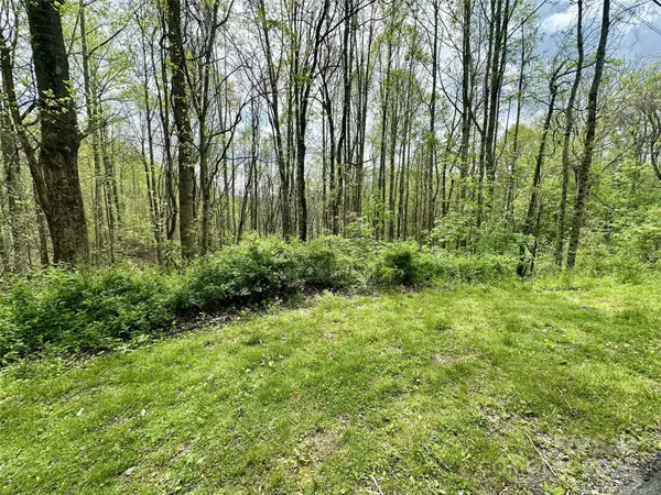 1 Deer Creek Trail, Maggie Valley, NC 28751