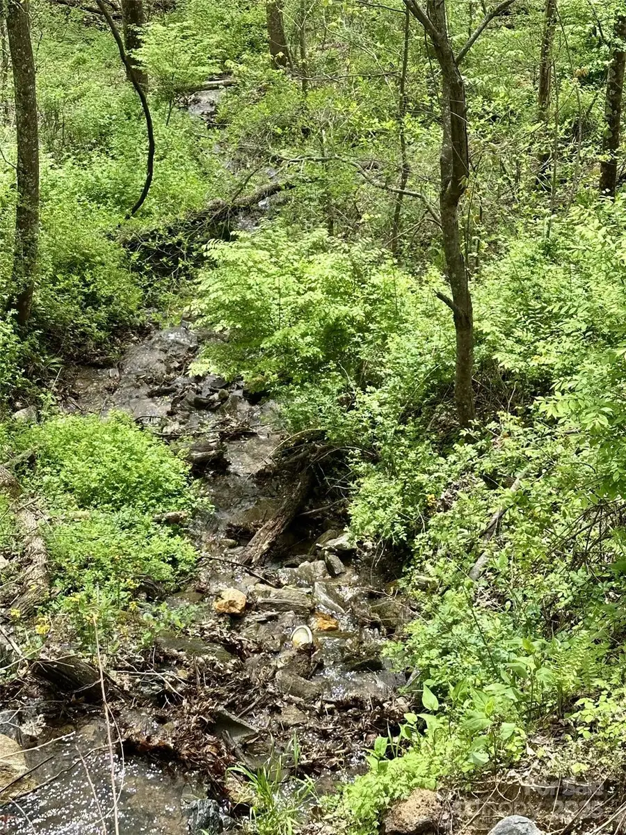 1 Deer Creek Trail, Maggie Valley, NC 28751 - Image #3