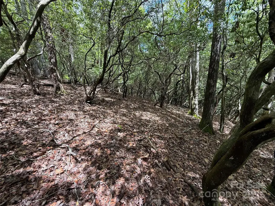 TBD Tellico Trail #42/22, Brevard, NC 28712 - Image #3