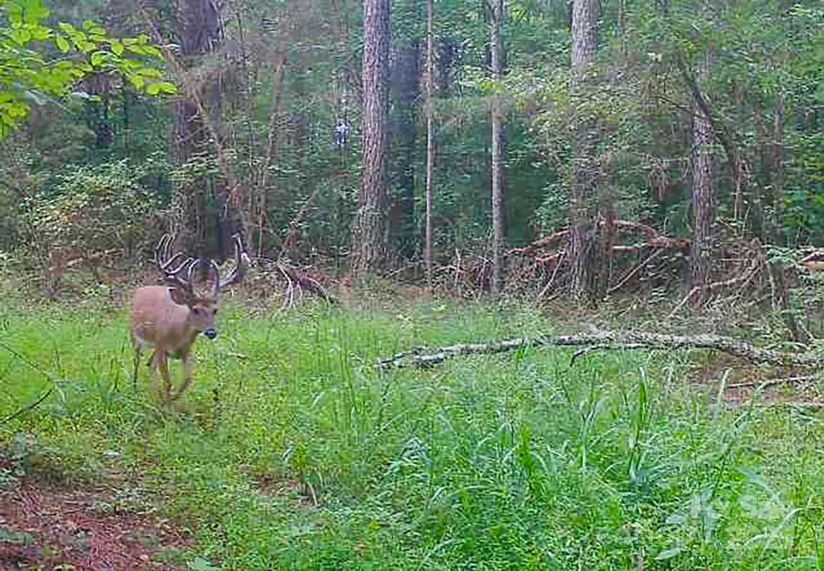 5555 Groves Road, Union Mills, NC 28167 - Image #1