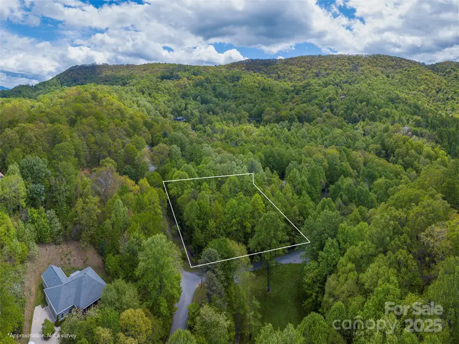 00 Hoot Owl Ridge, Waynesville, NC 28786 - Image #3