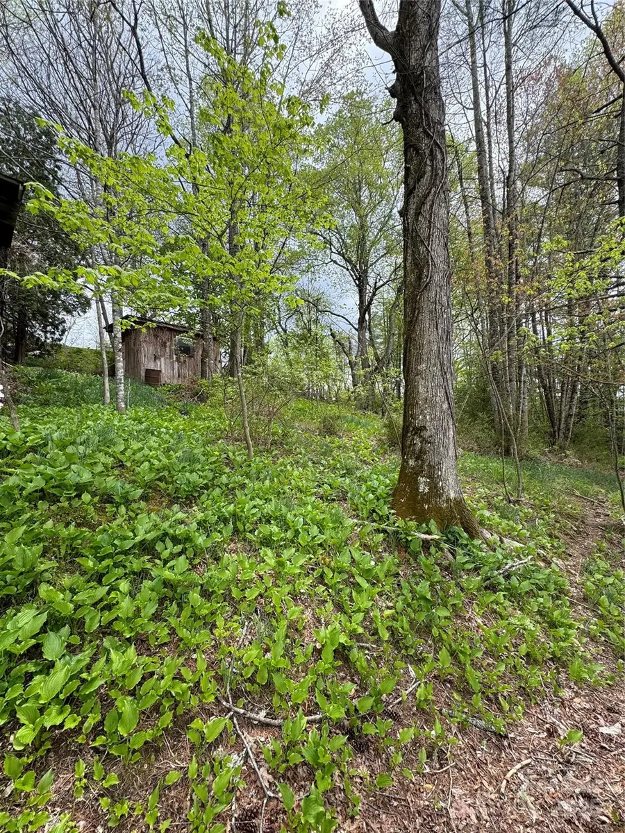 TBD Us Highway 19e Road, Newland, NC 28657 - Image #3