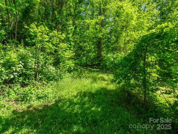 00 Hamilton Acres Drive, Hendersonville, NC 28792