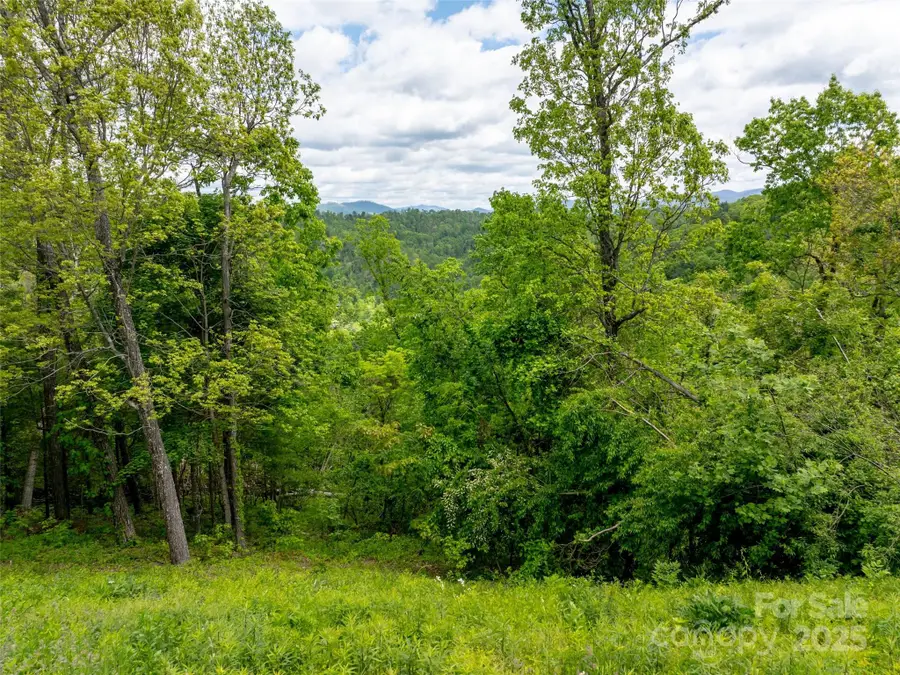 124 Summit Tower Circle, Asheville, NC 28804 - Image #3