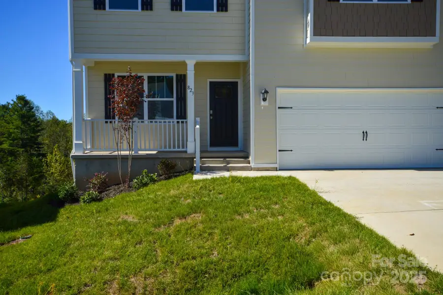 823 Adelston Lane, Asheville, NC 28804 - Image #3