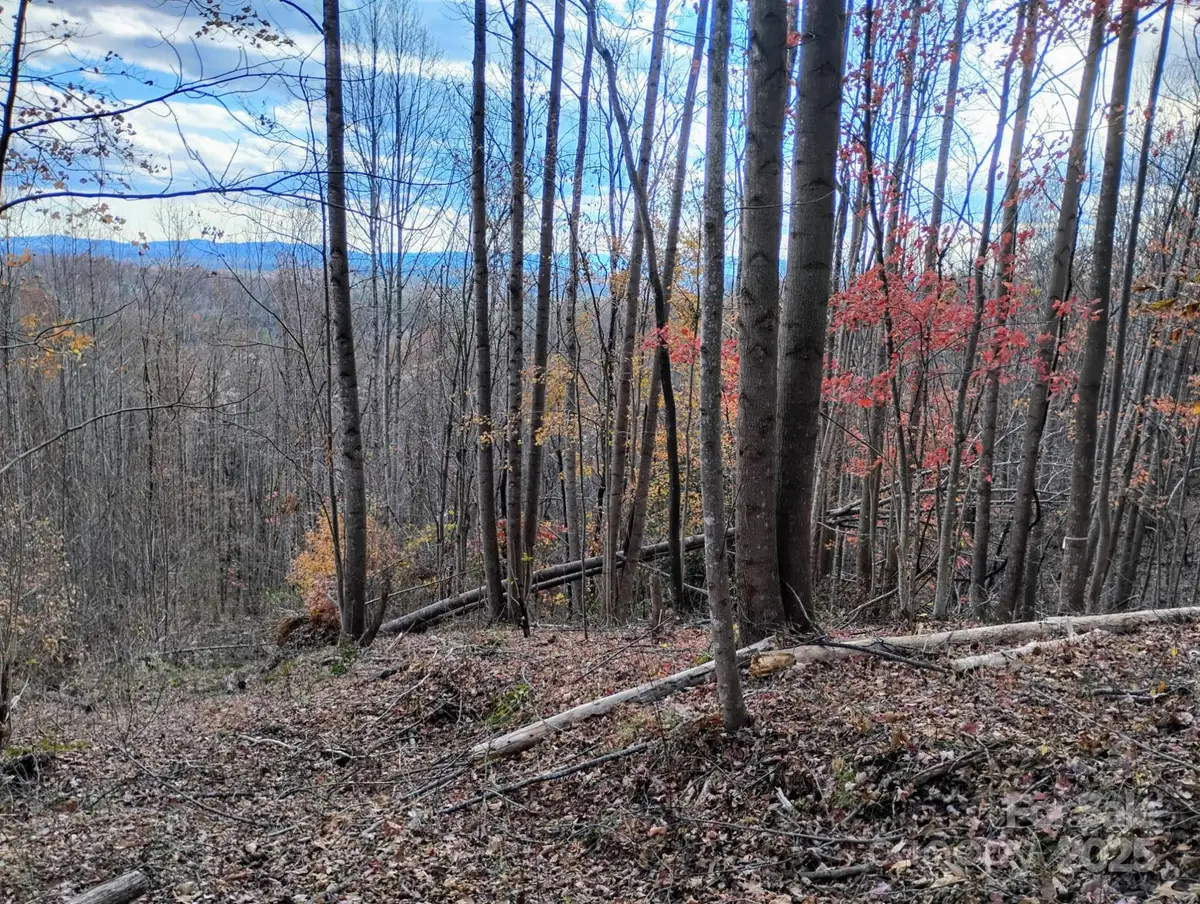 4899 White Oak Way, Lenoir, NC 28645 - Image #1