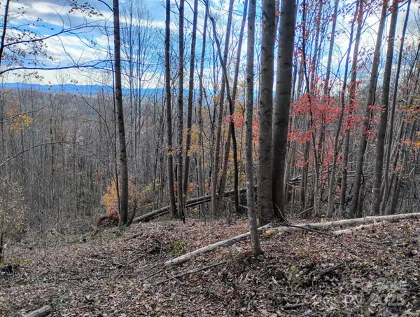 4899 White Oak Way, Lenoir, NC 28645