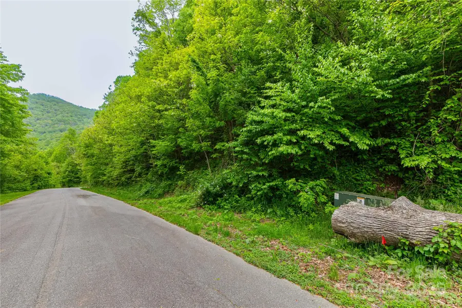 129 Mount Soma Boulevard, Clyde, NC 28721 - Image #2