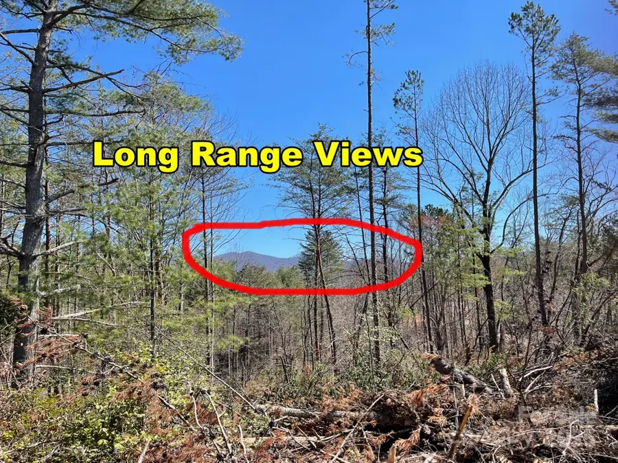 84 Union Chapel Road, Weaverville, NC 28787 - Image #2