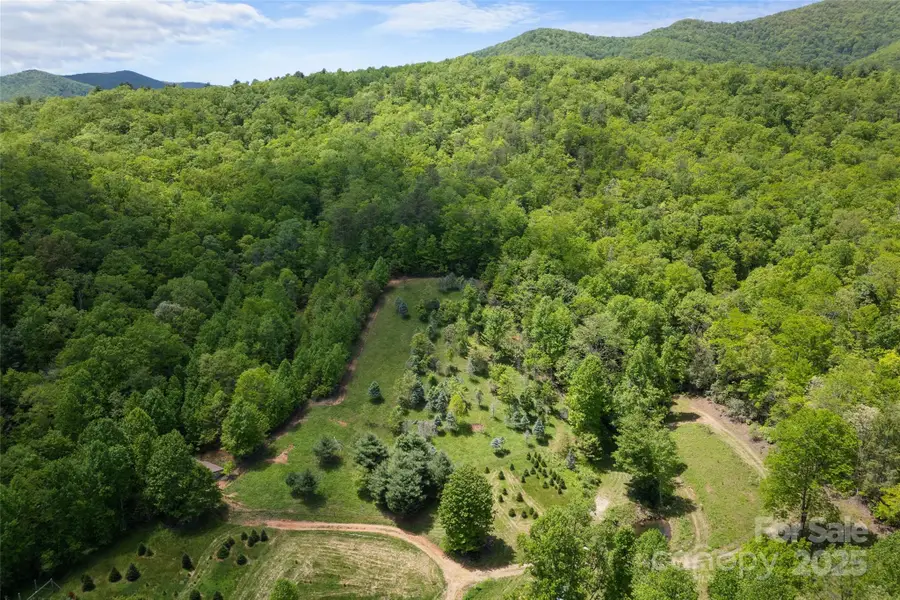 1557 Shoal Creek Road, Balsam Grove, NC 28708 - Image #2