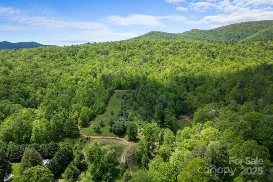 1557 Shoal Creek Road, Balsam Grove, NC 28708 - Image #3