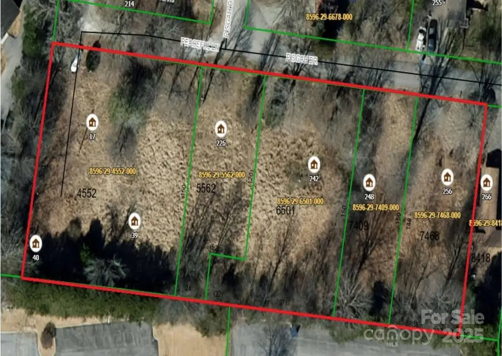 226 Pisgah Drive, Brevard, NC 28712 - Image #1