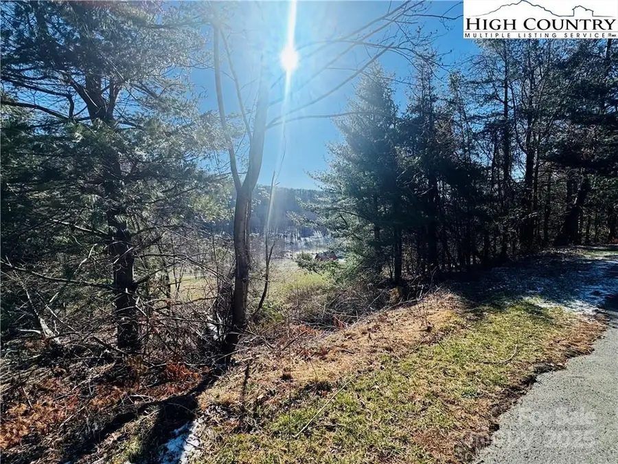Lot 72 Denise Drive, West Jefferson, NC 28694 - Image #2