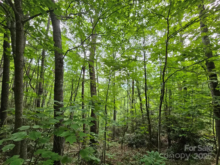 00 Autumn Drive #2, Waynesville, NC 28785 - Image #2