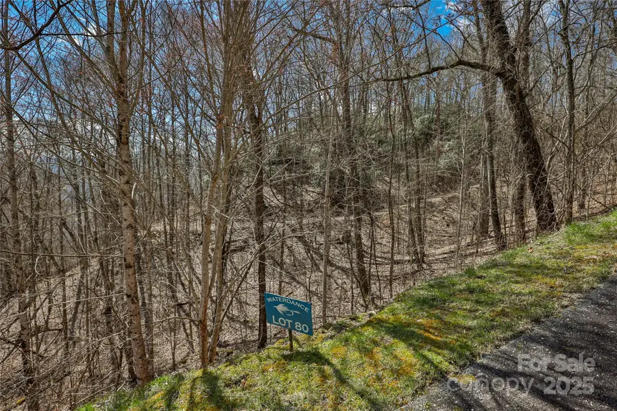 Lot 80 Waterdance Drive #80, Tuckasegee, NC 28783 - Image #2