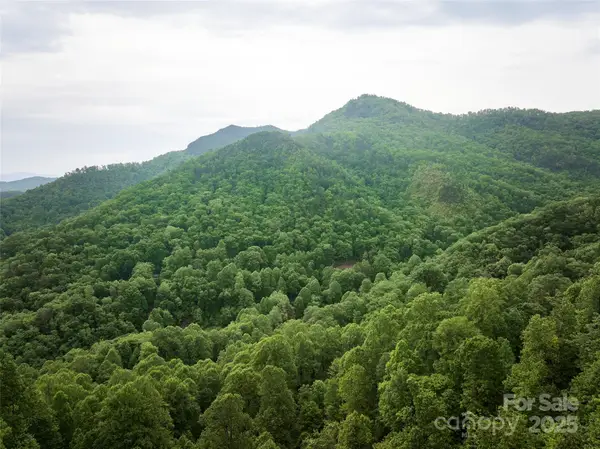 0 Pauline Drive, Bryson City, NC 28713
