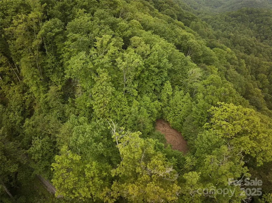 0 Pauline Drive, Bryson City, NC 28713 - Image #3