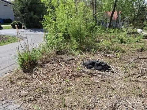 4 Weaver Hill Road, Asheville, NC 28805 - Image #3