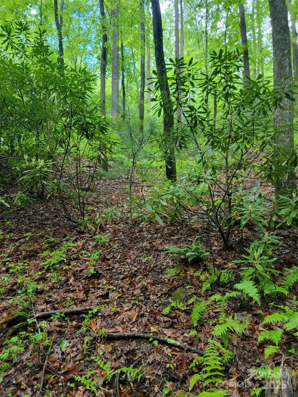 000 Rocky Top Road, Lenoir, NC 28645 - Image #1