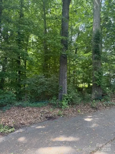 00 Greentree Drive, Mount Holly, NC 28120 - Image #3