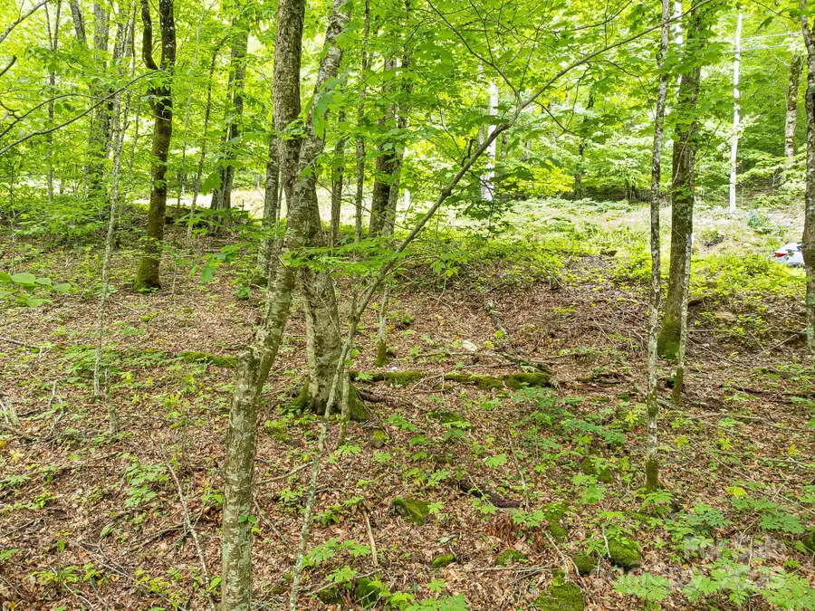 65 Bee Tree Lane, Mars Hill, NC 28754 - Image #2