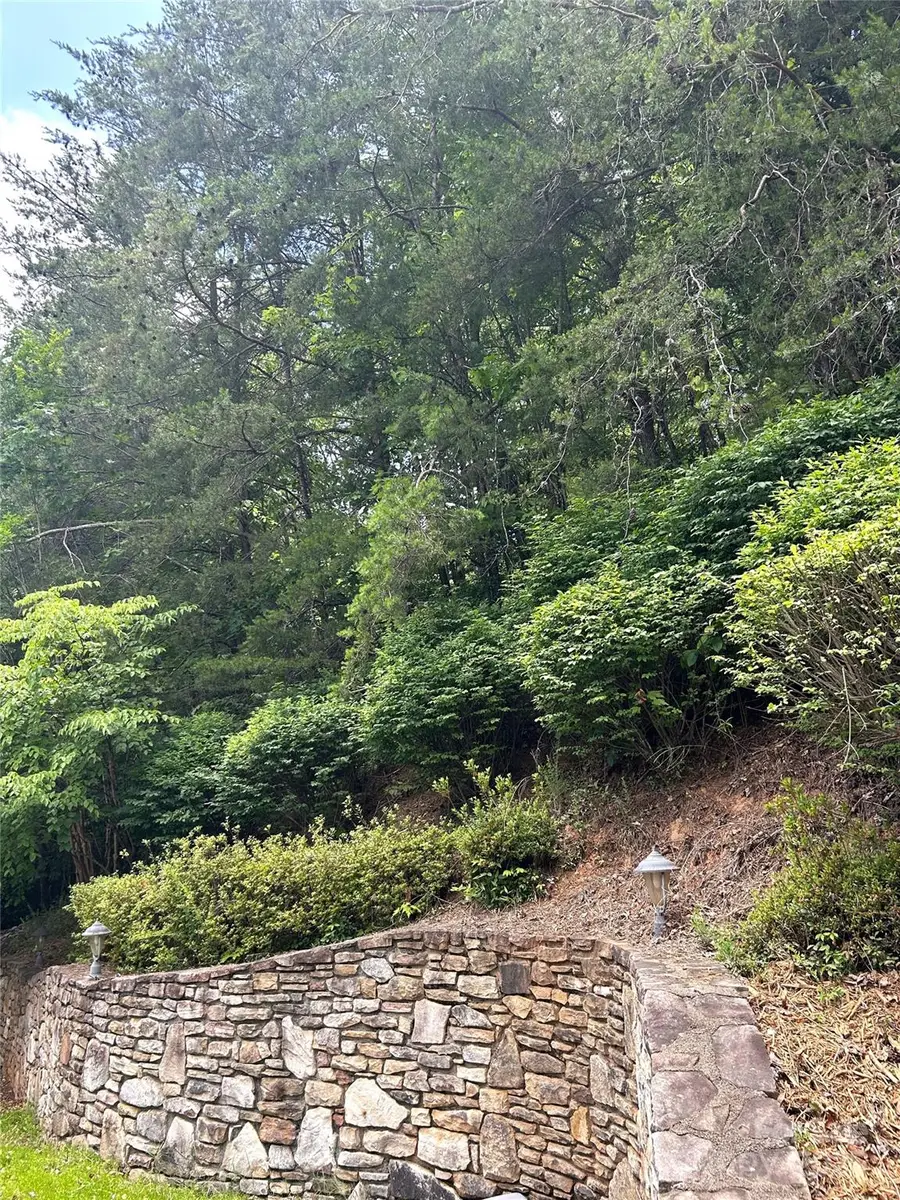 143 Cornell Circle, Lake Lure, NC 28746 - Image #3