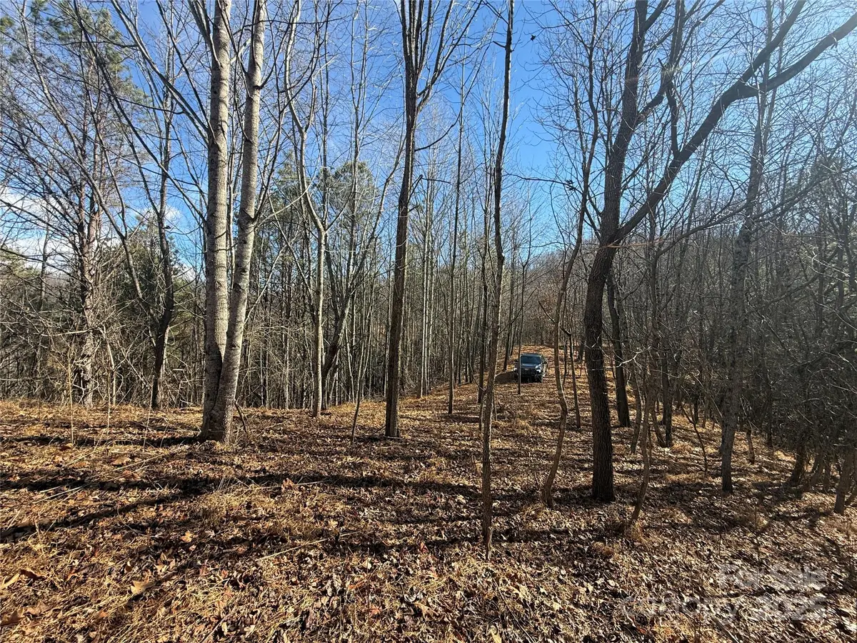 99999 Hendl Way, Leicester, NC 28748 - Image #1