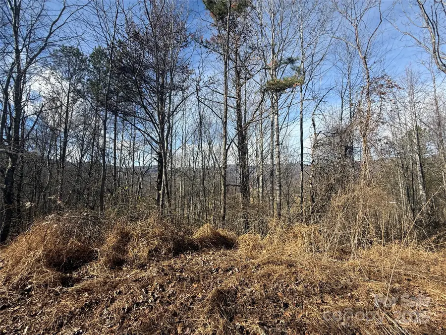 99999 Hendl Way, Leicester, NC 28748 - Image #3