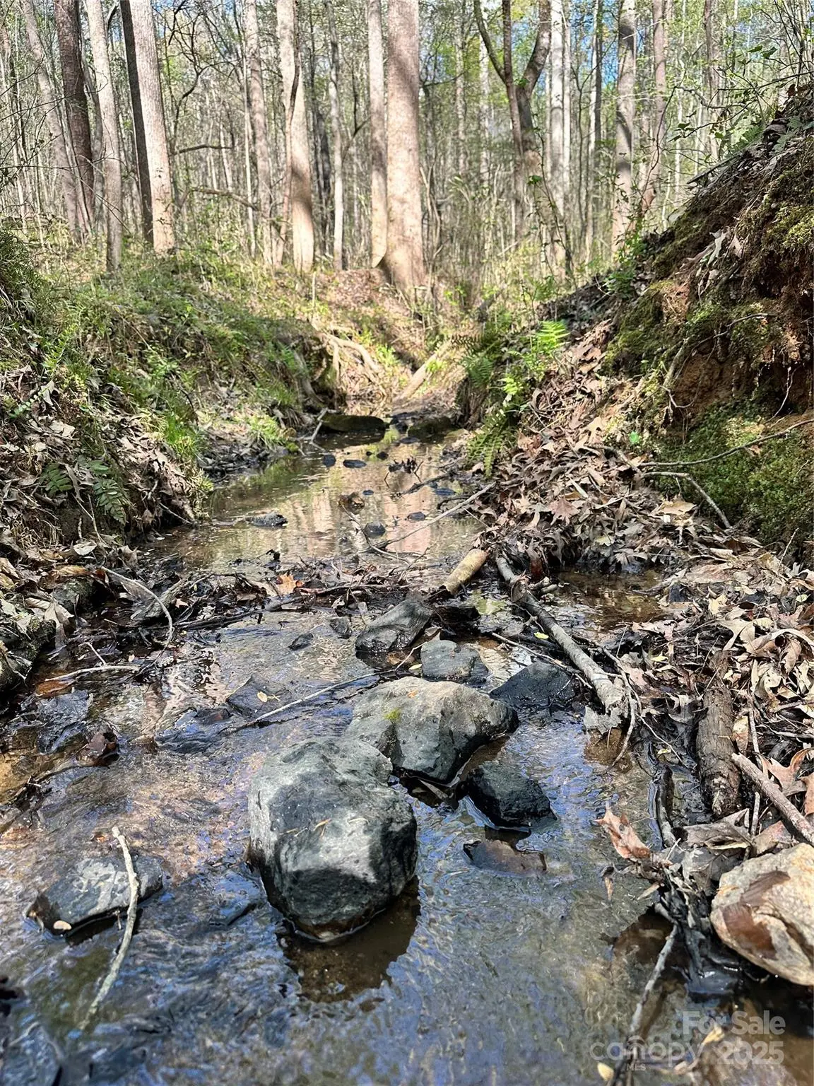 0000 Bud Arndt Road, Maiden, NC 28650 - Image #1