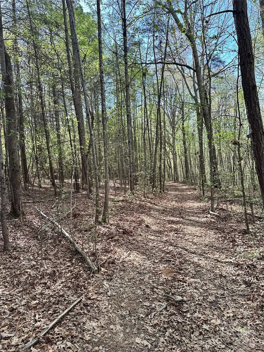 0000 Bud Arndt Road, Maiden, NC 28650 - Image #2