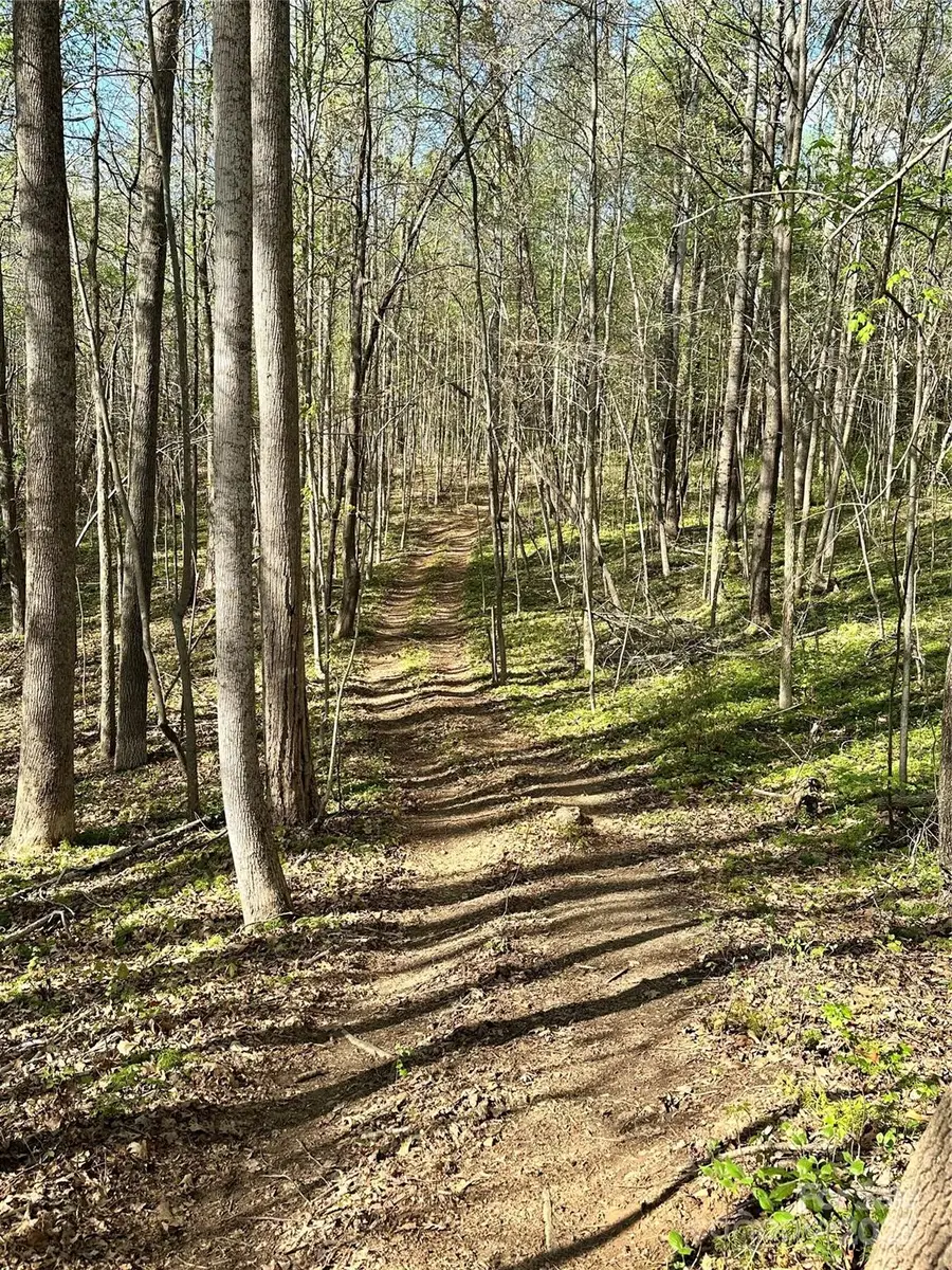 0000 Bud Arndt Road, Maiden, NC 28650 - Image #3