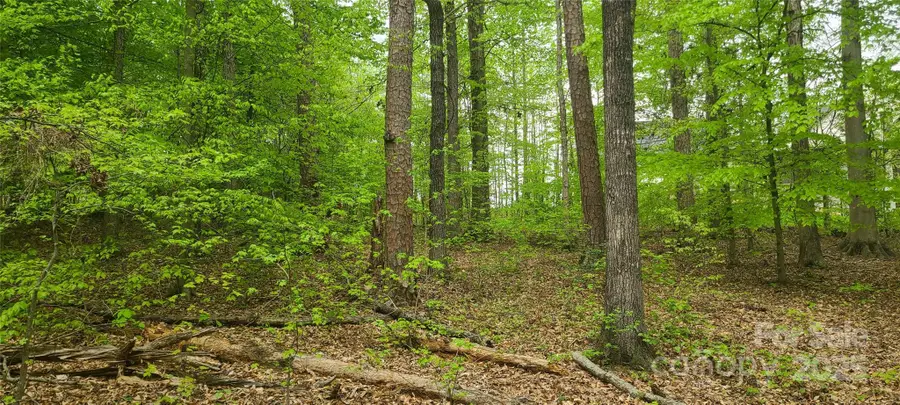 453 Sunset Pointe Drive, Salisbury, NC 28146 - Image #3