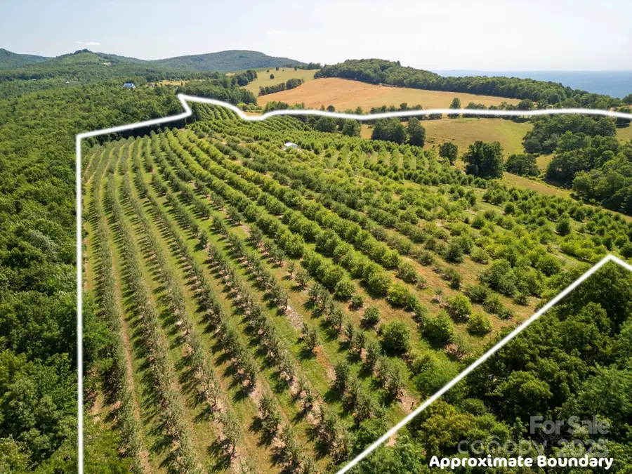 SR1713 Summer Road, Hendersonville, NC 28792 - Image #2