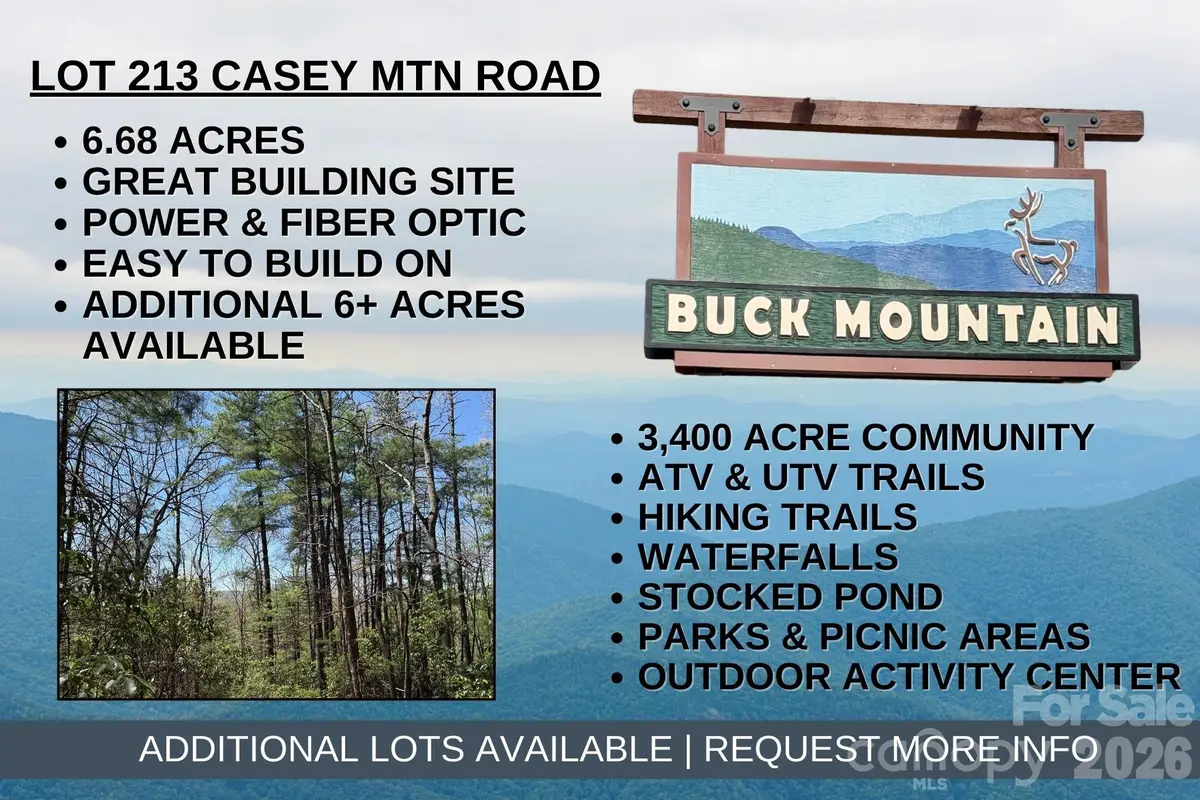 TBD Casey Mountain Road #213, Purlear, NC 28665 - Image #1