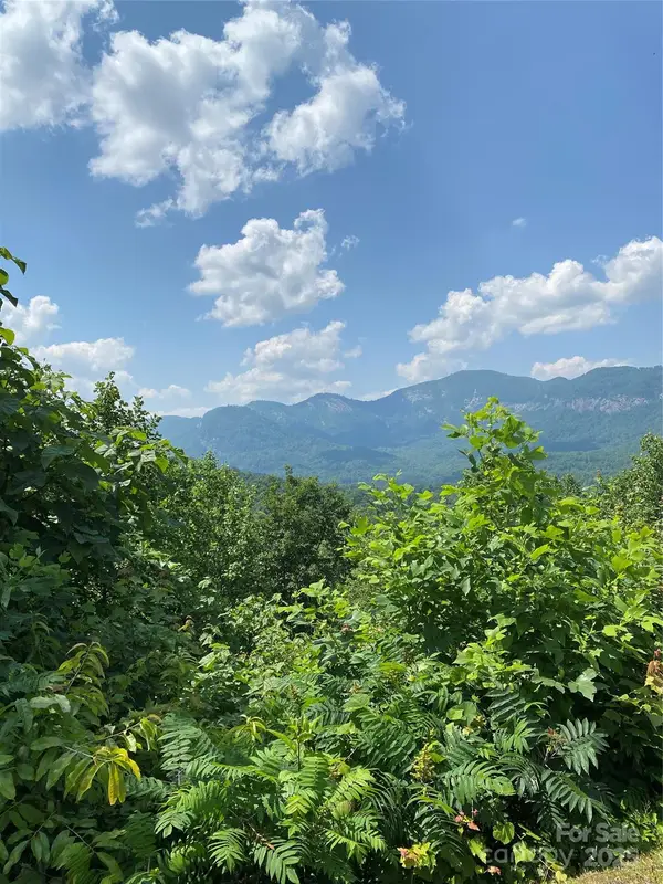 Lot 13 Highlands Drive, Lake Lure, NC 28746