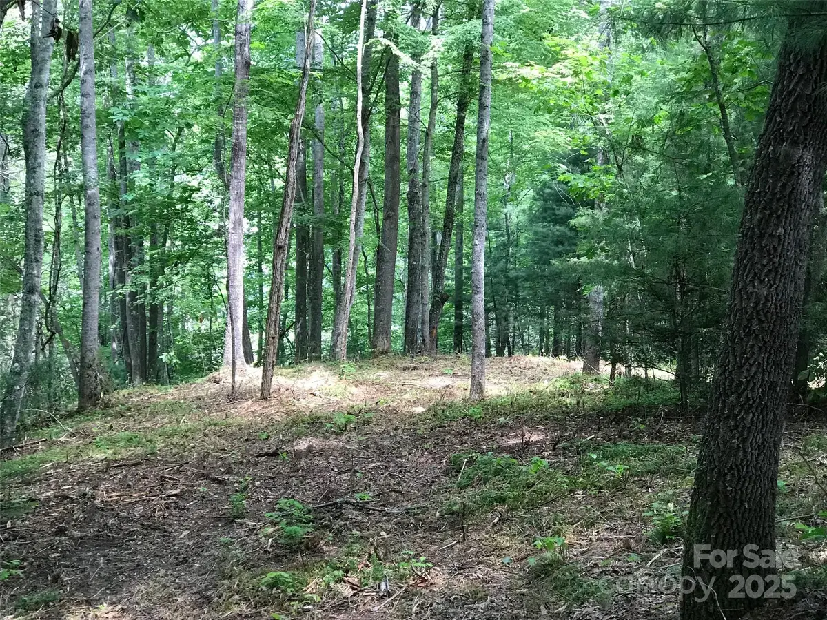 68 Fallsbrook Drive, Tuckasegee, NC 28783 - Image #1