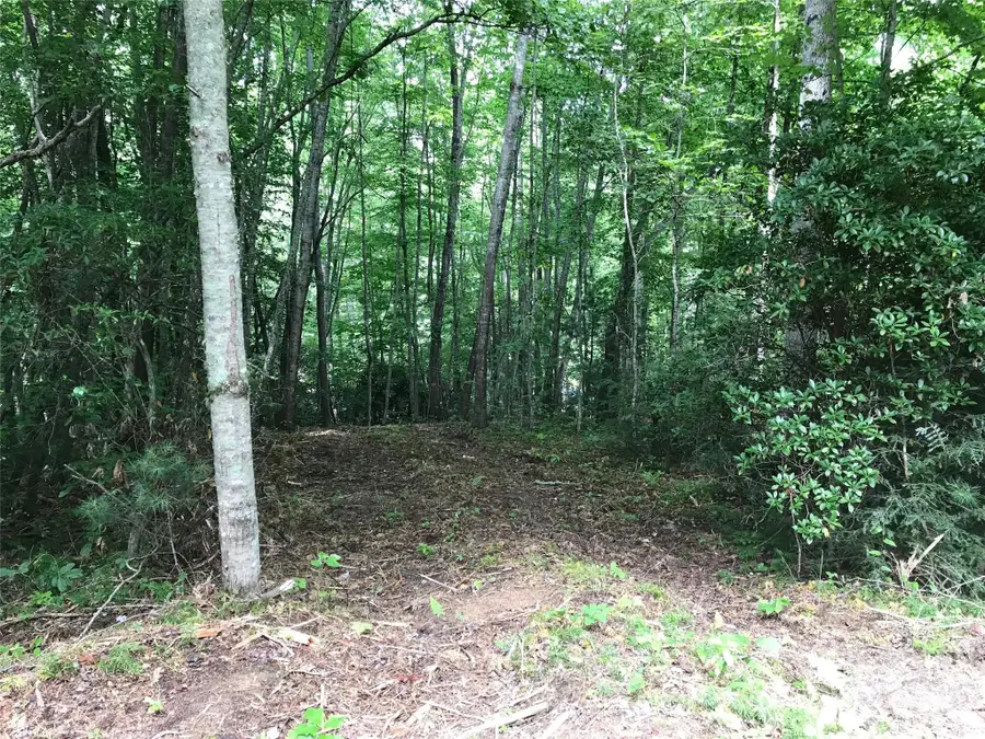 68 Fallsbrook Drive, Tuckasegee, NC 28783 - Image #3