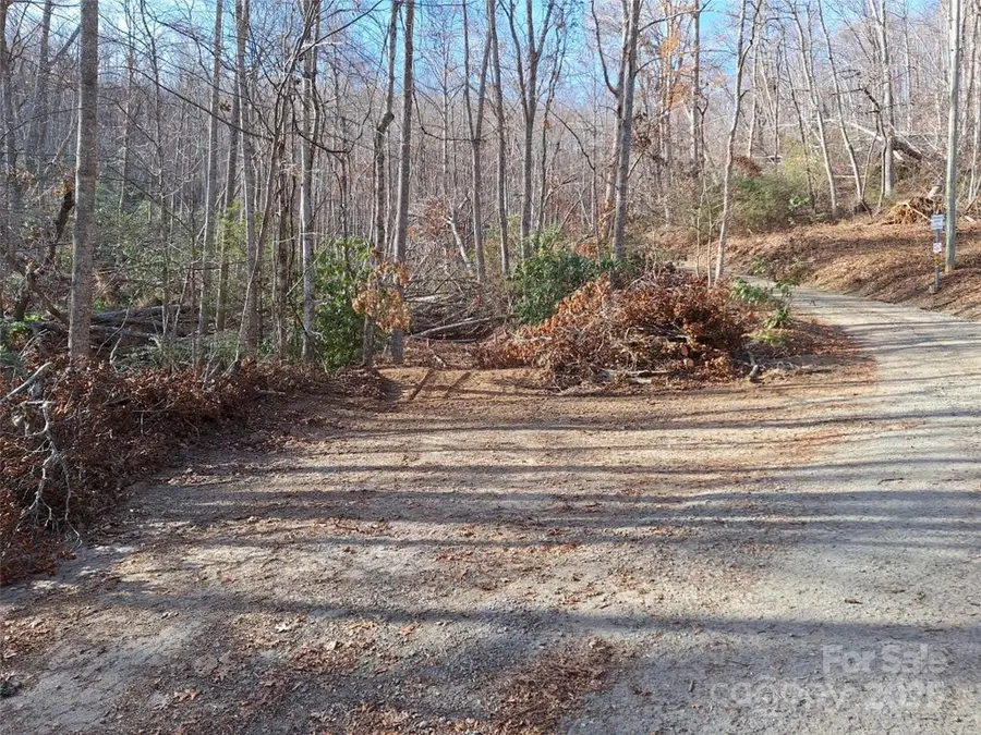 99999 Long Branch Road #1, Swannanoa, NC 28778 - Image #2