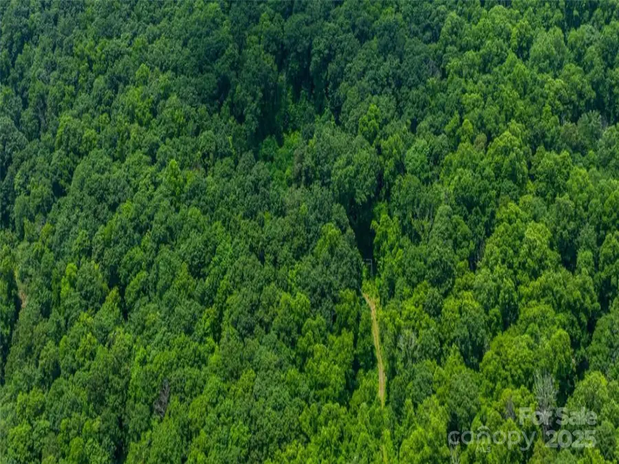 99999 Long Branch Road #1, Swannanoa, NC 28778 - Image #3