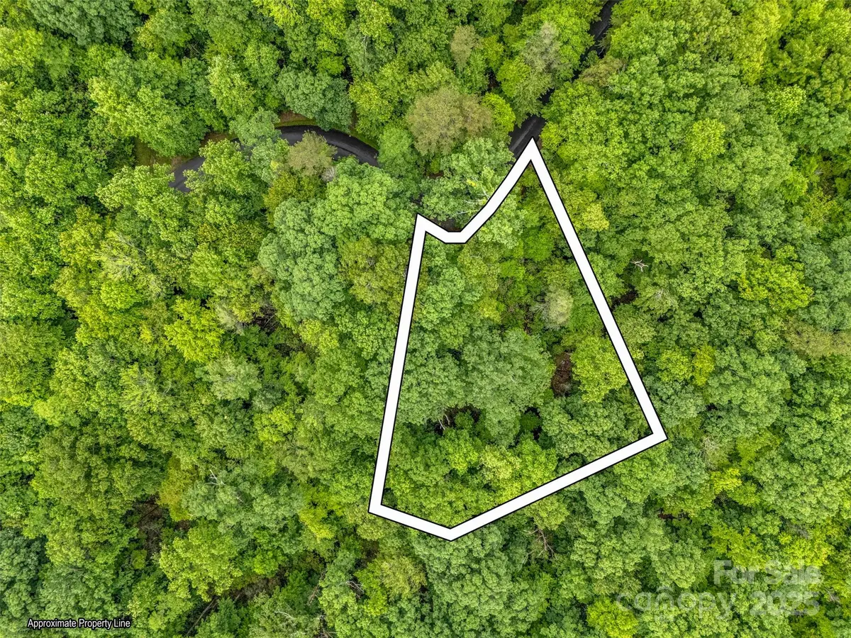 0 Quail Ridge Road #214, Rutherfordton, NC 28139 - Image #1