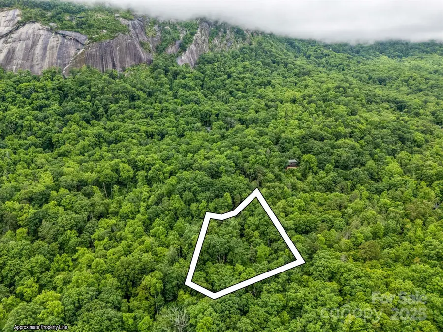 0 Quail Ridge Road #214, Rutherfordton, NC 28139 - Image #2