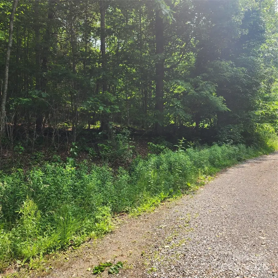 00 Poplar Creek Road, Green Mountain, NC 28740 - Image #2