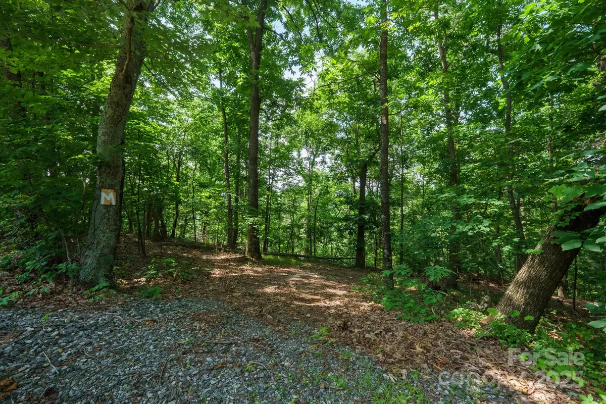 00 Hendren Road, Moravian Falls, NC 28654 - #1