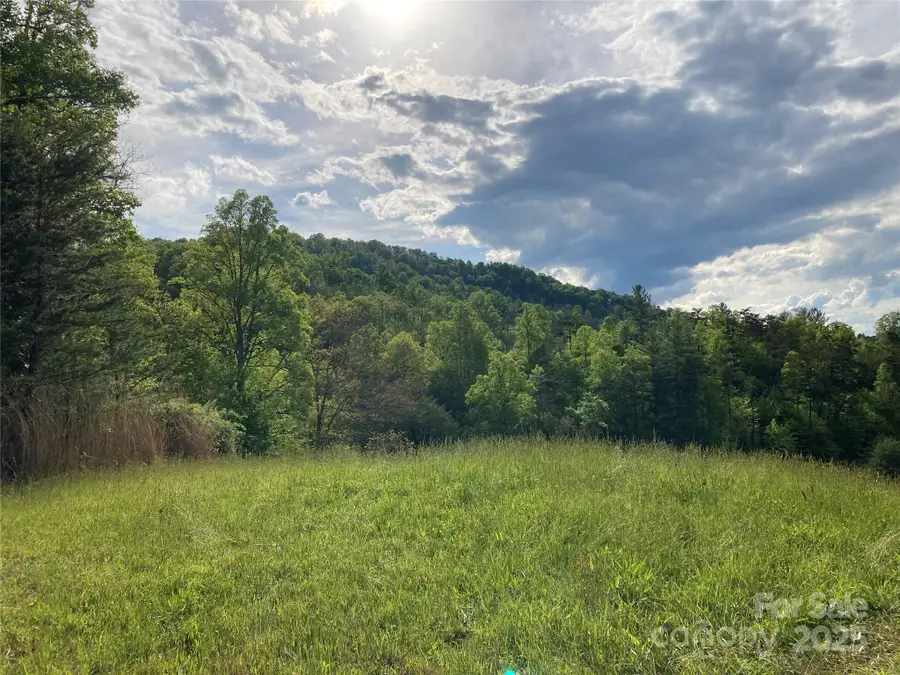 82 Seven Glens Drive, Weaverville, NC 28787 - Image #2