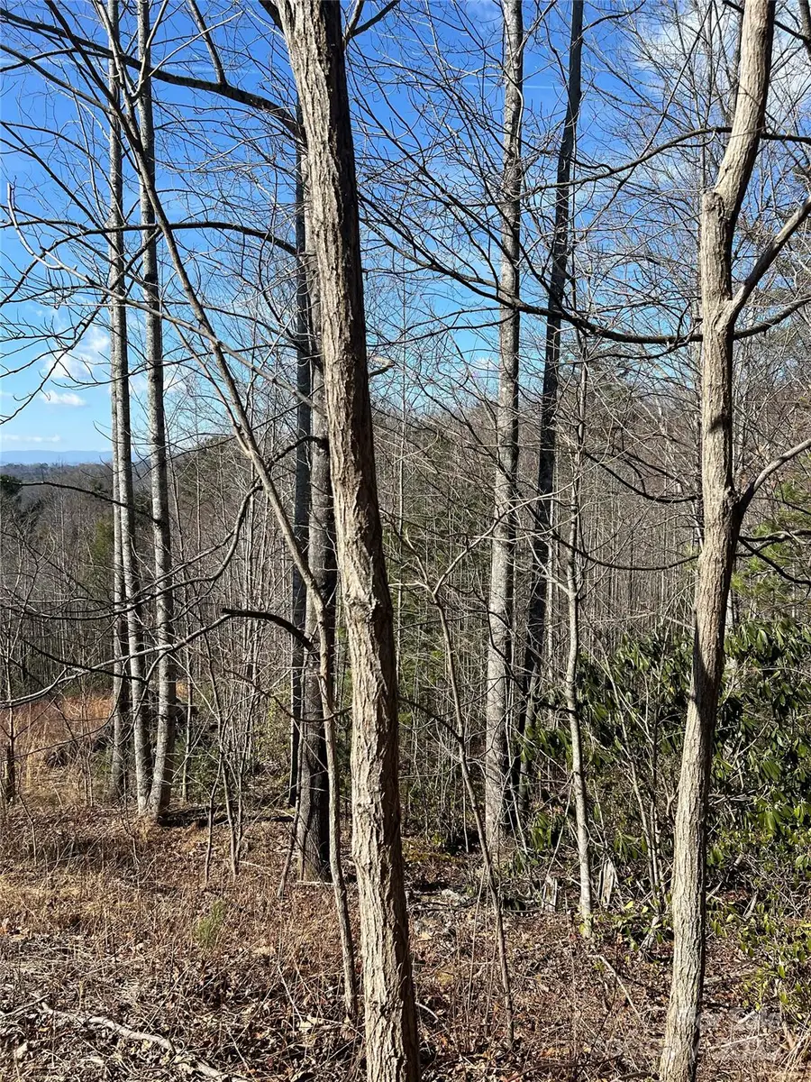 Lot# 130 Terra Vista Drive, Lenoir, NC 28645 - Image #3