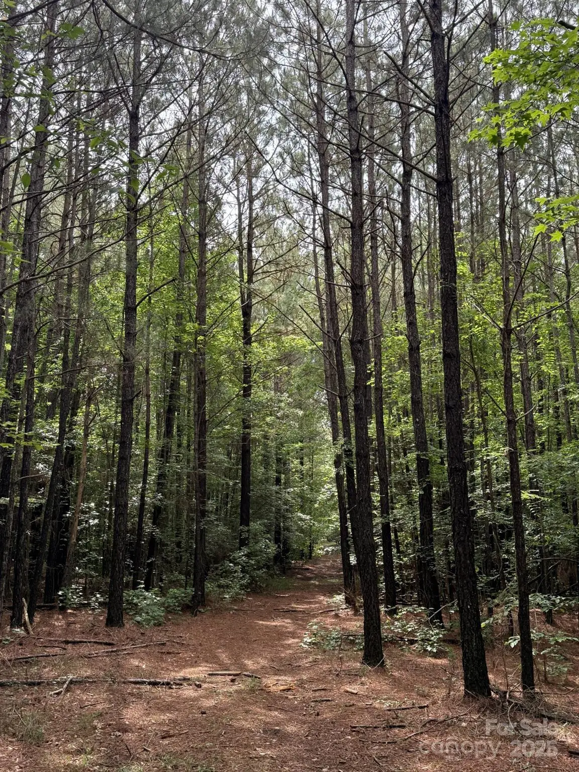 325 Kennedy Road, Eagle Springs, NC 27242 - Image #1