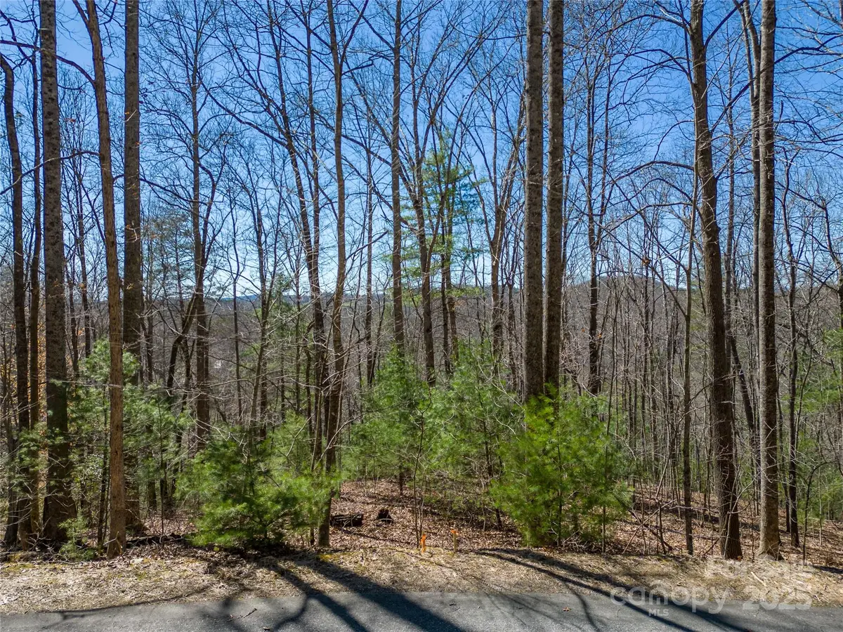 132 Overlook Park Drive #51, Hendersonville, NC 28792 - Image #1