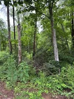 0000 Heathwood Lane #32, Franklin, NC 28734 - Image #2