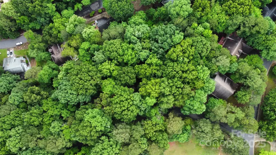 16086 Heron Run Drive, Fort Mill, SC 29708 - Image #2